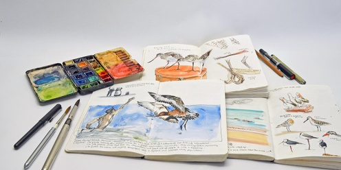 Everyday Nature Sketchbooks! With Deb Mostert