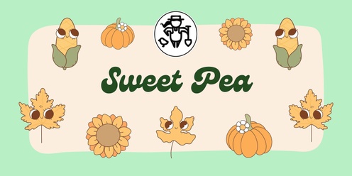 Sweet Pea - Fall Session 1