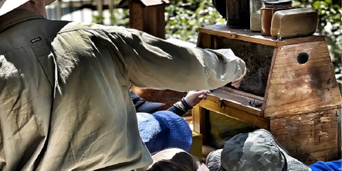 Learn Beekeeping at Mirrabooka Library