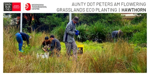 Aunty Dot Peters AM Flowering Grasslands Eco Session - Hawthorn