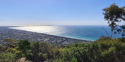 Mornington Peninsula Sea Winds Gardens to Kings Falls Walk - Grade 3 (Medium)