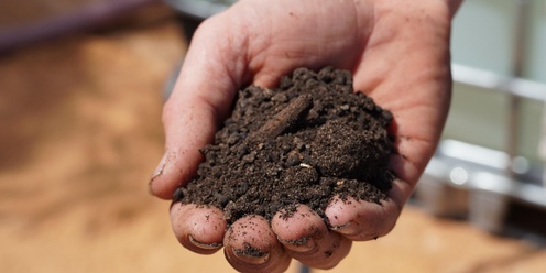 Bio fertiliser workshop: Boost your soil health