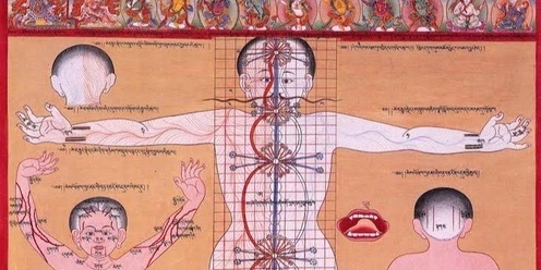 Unlocking the Wisdom of Tibetan Medicine: Achieving Balance and Well-Being