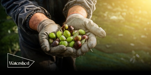 Watershed Supper Series – Cradle Coast Olives & Guest Speaker Alana Mann