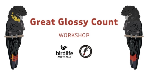 2024 Great Glossy Count: Glossy Black-Cockatoo ID Workshop