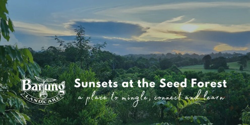 Sunsets at the Seed Forest - July 2024