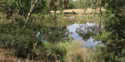 Landcare In Action: Property Tour