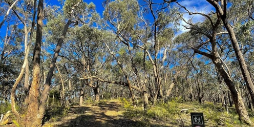 Happy Valley Track, Smiths Gully - Grade 3 (medium)