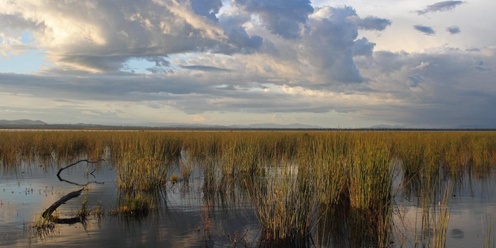 Winton Wetlands - The Future (plus Warby Range Landcare Group's AGM)