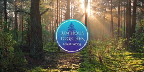 Luminous Together Forest Bathing Walk | Frux Farm 11/23/24