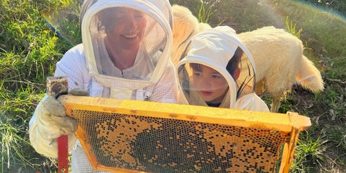 Holiday Bee School for Kids - July 2024