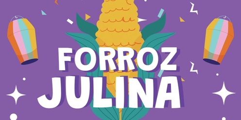 Forroz Festa Julina vip