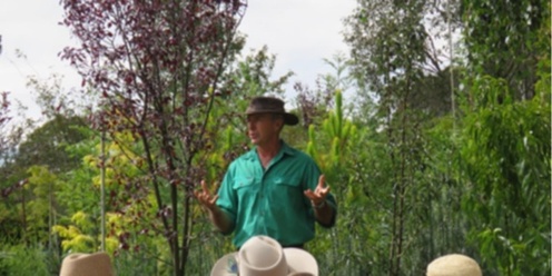 Successful Tree Planting l  New England Garden Festival