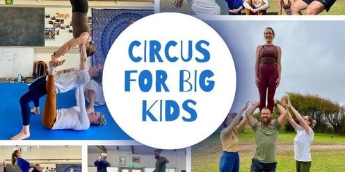 Circus For Big Kids