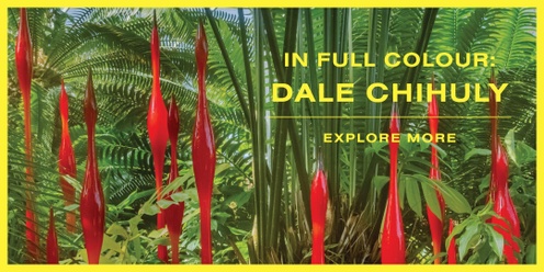 In Full Colour: Dale Chihuly