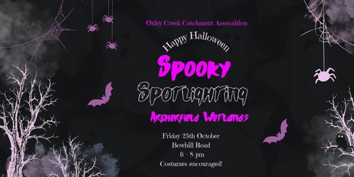 Spooky Spotlighting!