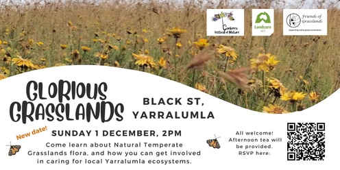 Glorious Grasslands of Yarralumla - 1 Dec