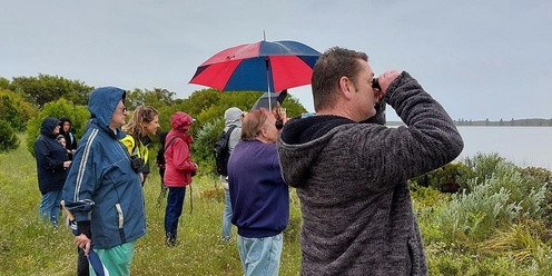 What bird is this? Morning bird walk for beginners