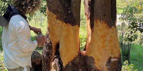 Chemical-Free Camphor Laurel Management Workshop