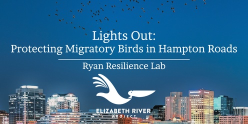 Lights Out: Protecting Migratory Birds in Hampton Roads