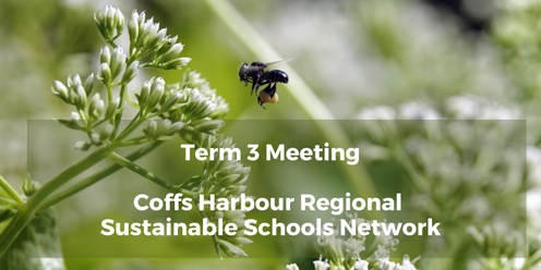 Coffs Harbour Sustainable Schools Network: Term 3 Meeting and Native Bee Workshop