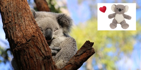 "Make My Koala" Experience - Create your own Koala toy @ Koala Fest - Kit Pre-Order