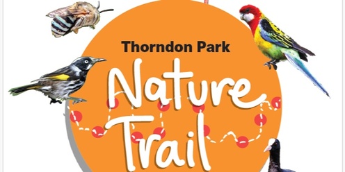 Thorndon Park Kids' Nature Trail Launch and activities