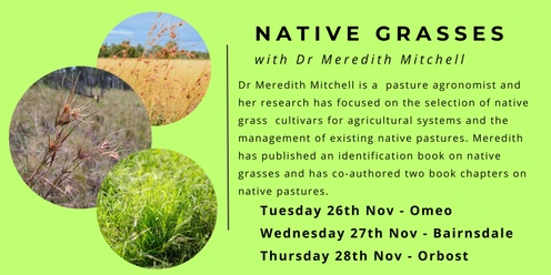 Native Grasses with Meredith Mitchell 26th - 28th Nov