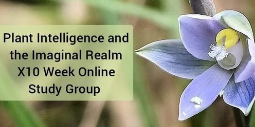 Plant Intelligence and the Imaginal Realm, x10 Week Online and In-Person Study Group 