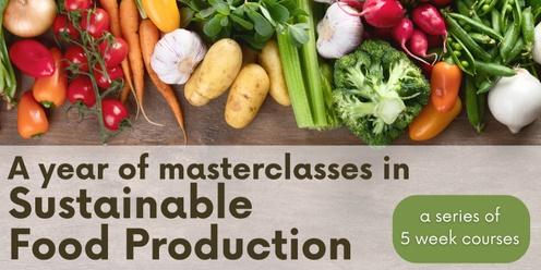 Term 3 Sustainable Food Production 5 Week Course