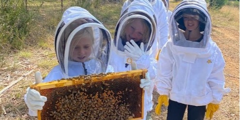 Little Bee Keepers - a child centred introduction to the world of honeybees