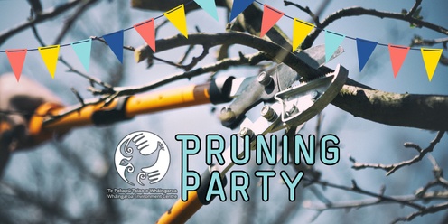 Pruning Party