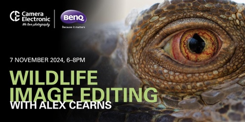 Wildlife Image Editing with Alex Cearns