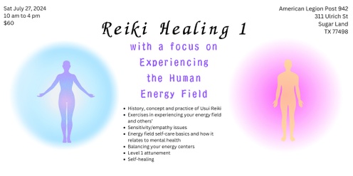 Reiki Healing 1 Experiencing The Human Energy Field