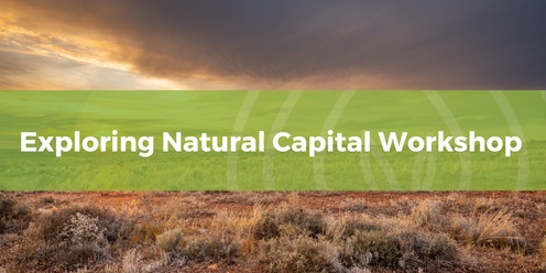 Exploring Natural Capital Workshop - Wentworth