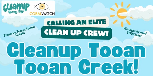 Clean Up Tooan Tooan Creek