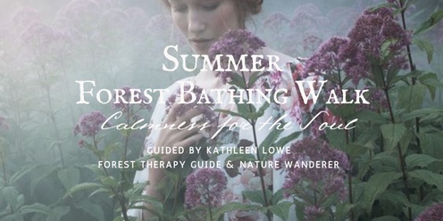 Summer Forest Bathing Walk : Calmness for the Soul