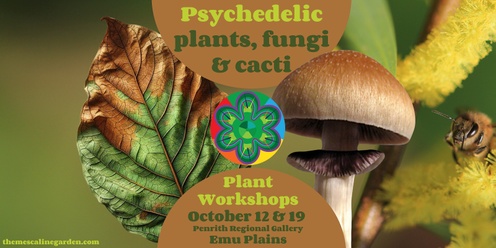 Psychedelic trees, fungi and cacti workshops, Emu Plains