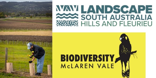 Revegetation – Planning for Success, with Landscape SA Hills and Fleurieu, and Biodiversity McLaren Vale