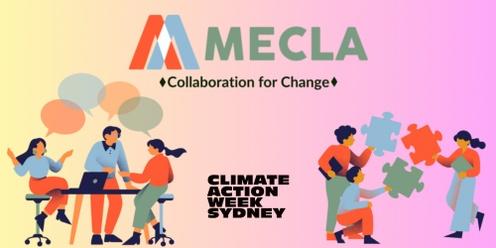 MECLA Radical Collaboration