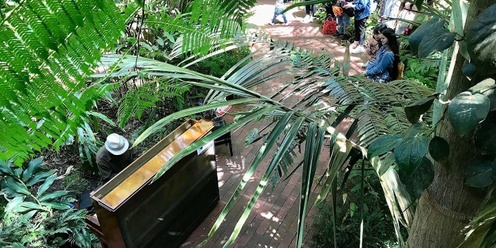 Piano in the Park