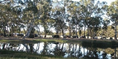 Black Cockatoo Bush Camp Guided Walk 