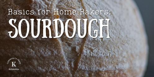 Sourdough Basics for Home Bakers (June 2024)