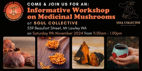 Medicinal Mushrooms Workshop Soul Collective Mt Lawley