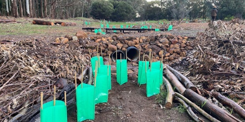 Open day at Fair Harvest-  FREE - guided tour of our revegetation project - 