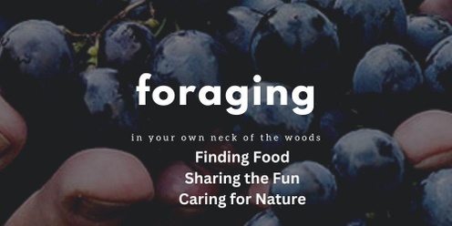 Foraging - Finding Food, Sharing Fun 