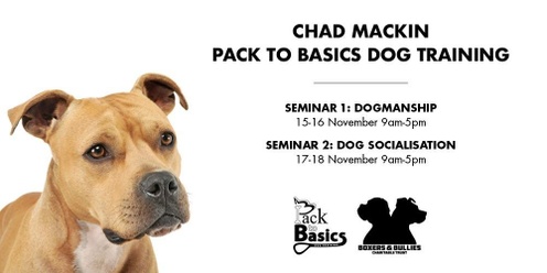Chad Mackin New Zealand Seminar