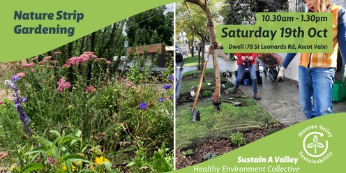 Nature Strip Gardening 