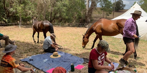 Morning Tea with Horses - Connecting Veterans