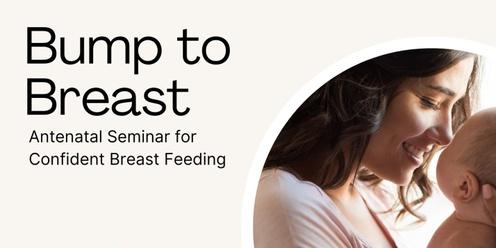 Bump to Breast - Antenatal Breastfeeding Seminar 